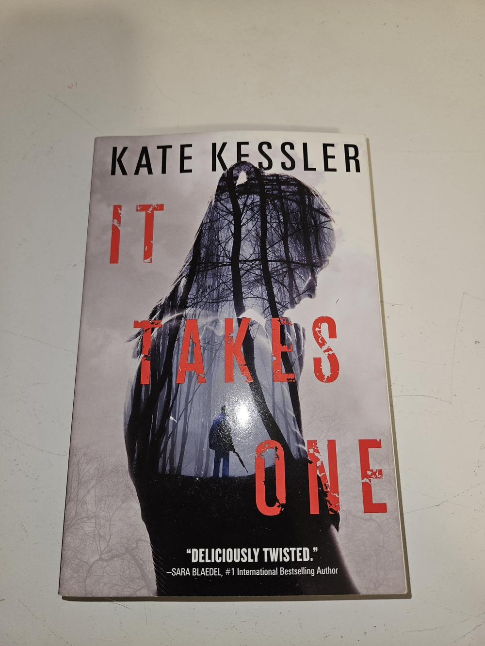 It Takes One by Kate Kessler Novel Book - Red Accent Thriller Paperback